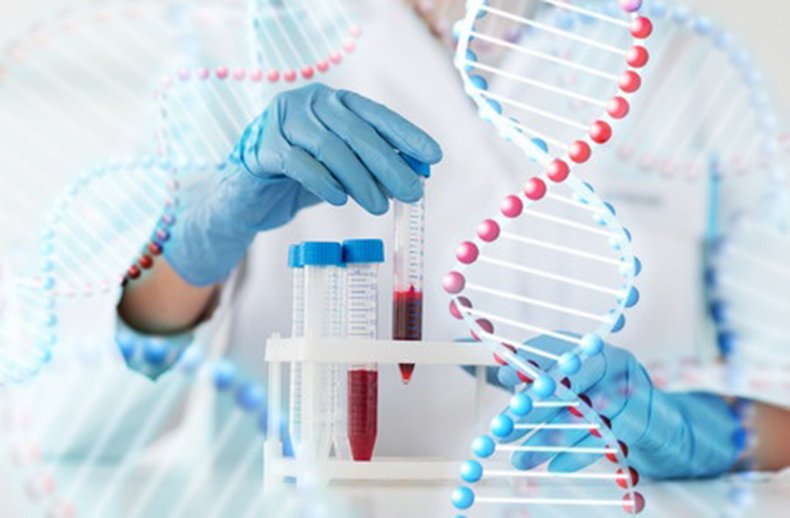 DỊCH VỤ XÉT NGHIỆM ADN QUẬN 11 DỊCH VỤ XÉT NGHIỆM ADN QUẬN 11