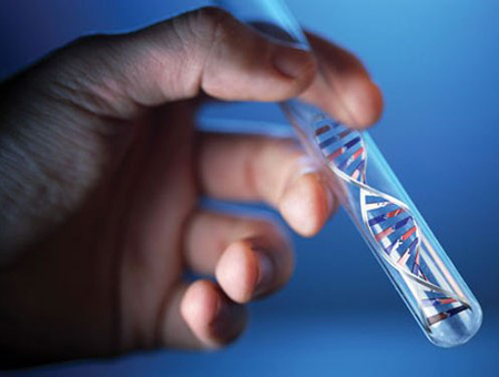 DỊCH VỤ XÉT NGHIỆM ADN Ở QUẬN 3 DỊCH VỤ XÉT NGHIỆM ADN Ở QUẬN 3
