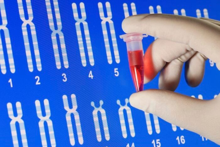 DỊCH VỤ XÉT NGHIỆM ADN Ở QUẬN 7 DỊCH VỤ XÉT NGHIỆM ADN Ở QUẬN 7