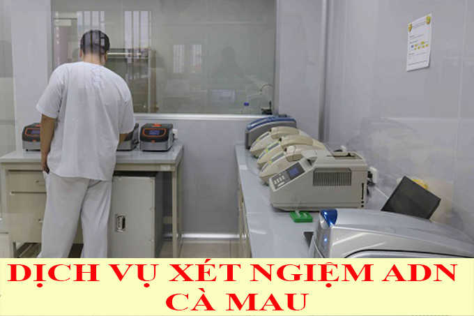 DỊCH VỤ XÉT NGHIỆM ADN Ở CÀ MAU DỊCH VỤ XÉT NGHIỆM ADN Ở CÀ MAU