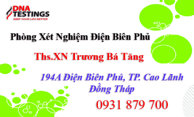 VĂN PHÒNG CAO LÃNH ĐỒNG THÁP VĂN PHÒNG CAO LÃNH ĐỒNG THÁP