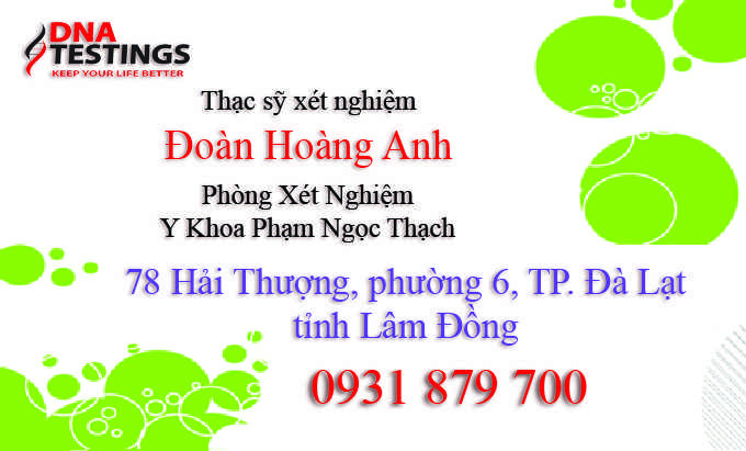 VĂN PHÒNG ĐÀ LẠT LÂM ĐỒNG VĂN PHÒNG ĐÀ LẠT LÂM ĐỒNG