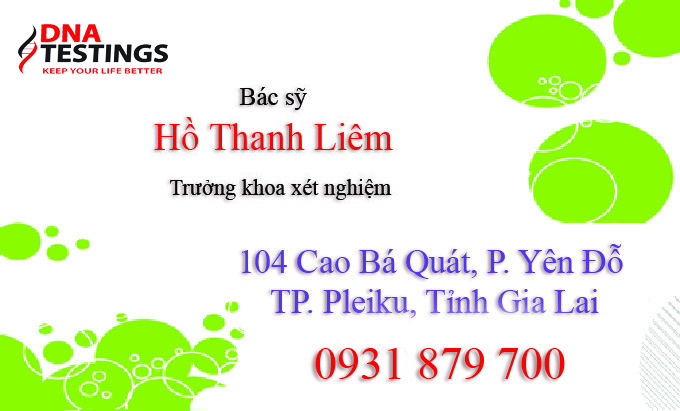 VĂN PHÒNG GIA LAI VĂN PHÒNG GIA LAI