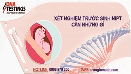 XÉT NGHIỆM SÀNG LỌC TRƯỚC SINH NIPT-PRECARE CẦN NHỮNG GÌ? XÉT NGHIỆM SÀNG LỌC TRƯỚC SINH NIPT-PRECARE CẦN NHỮNG GÌ?