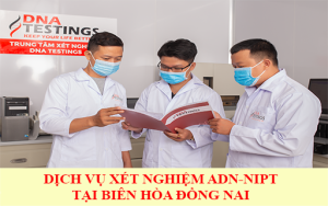 dich vu xet nghiem adn tai bien hoa