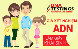 gia xet nghiem adn lam khai sinh 02 1