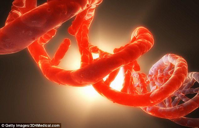 Những ca xét nghiệm ADN phát hiện cuối cùng về nguồn gốc của loài người