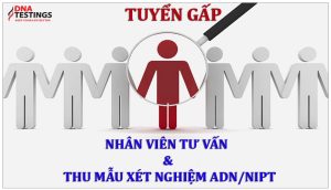 TUYỂN GẤP NHÂN VIÊN TƯ VẤN - THU MẪU XÉT NGHIỆM ADN & NIPT 8 tuyendung logo