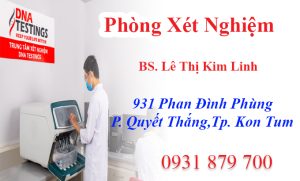 van phong adn kon tum 2