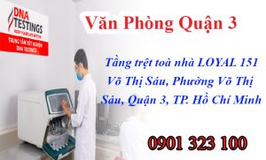 van phong adn quan 3 1