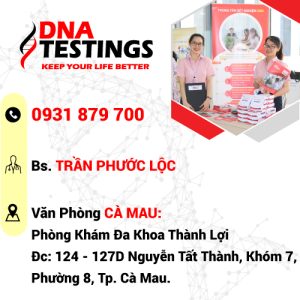 van phong dai ly ca mau 2