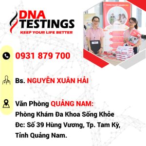 van phong dai ly quang nam