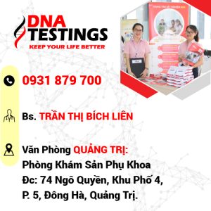 van phong dai ly quang tri