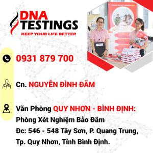 van phong dai ly quy nhon1