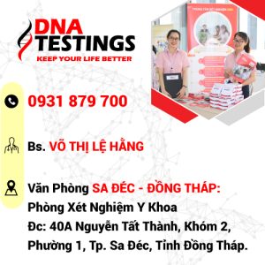 van phong dai ly sa dec 2