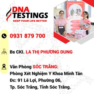 van phong dai ly soc trang