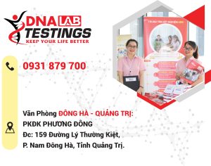 van phong dong ha trung tam adn