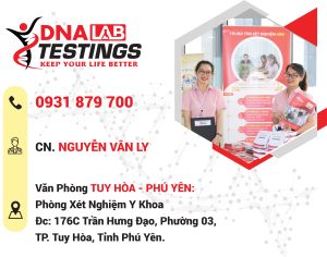 van phong tuy hoa trung tam adn
