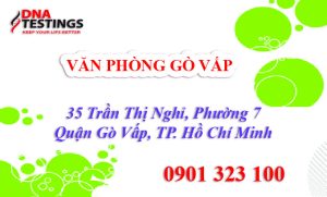 van phong xet nghiem adn go vap