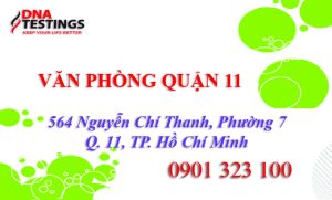 DỊCH VỤ XÉT NGHIỆM ADN QUẬN 11 12 van phong xet nghiem adn quan 11