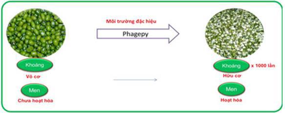 vhn bio2