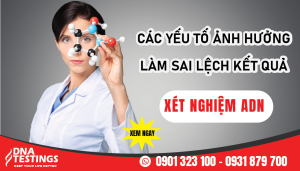 yeu to anh huong kq 01