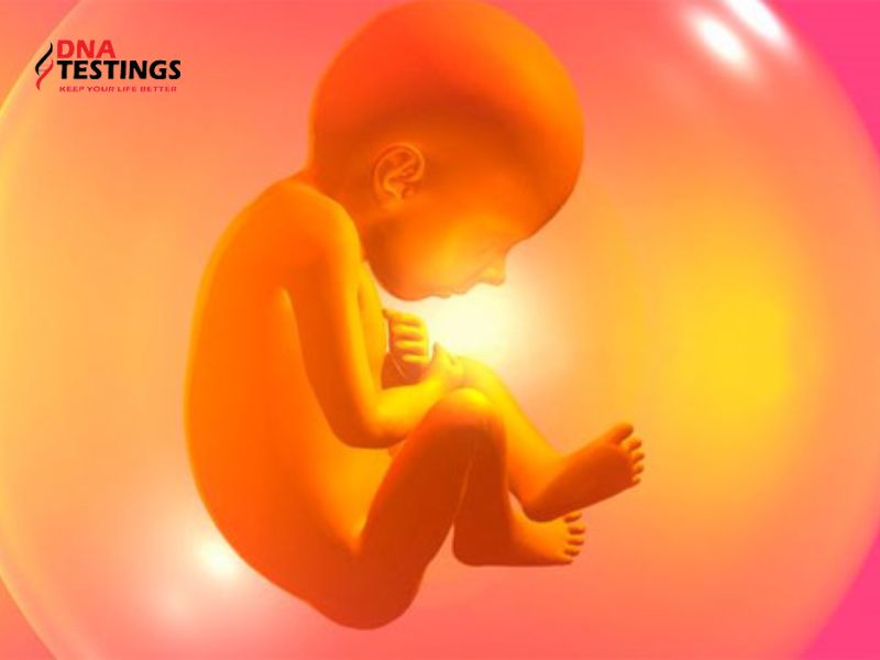 10 dị tật thường gặp ở thai nhi mẹ bầu nên chú ý
