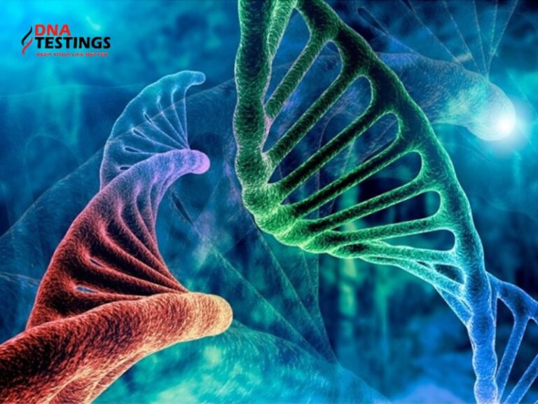 ADN và DNA khác nhau thế nào