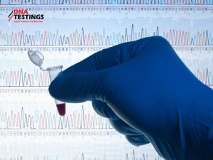 Các loại xét nghiệm ADN tìm nguồn gốc tổ tiên