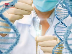 ADN là gì? Toàn bộ kiến thức cơ bản về ADN 12 ADN là gì? Toàn bộ kiến thức cơ bản về ADN