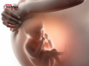 Dấu hiệu thai nhi bị dị tật - Làm sao để phát hiện? 13 Dấu hiệu thai nhi bị dị tật - Làm sao để phát hiện?