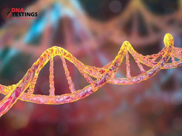 Vật chất di truyền là gì? Những thông tin liên quan đến vật chất di truyền