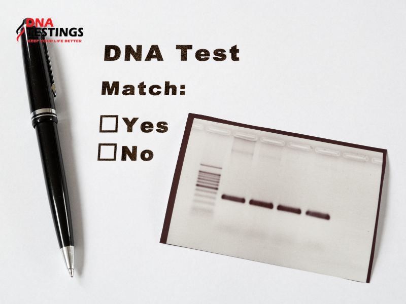 Xét nghiệm ADN có khi nào sai không?