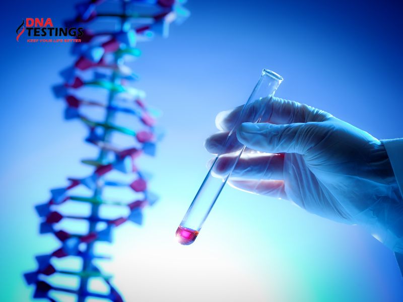 Xét nghiệm ADN là gì?
