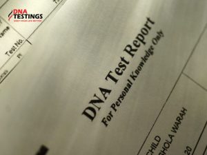 THÔNG TIN CHI TIẾT VỀ XÉT NGHIỆM ADN PHÁP LÝ TẠI DNA TESTING 3 THÔNG TIN CHI TIẾT VỀ XÉT NGHIỆM ADN PHÁP LÝ TẠI DNA TESTING