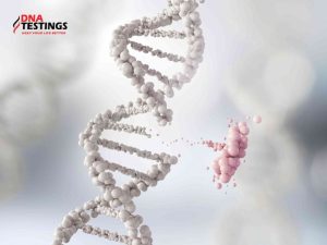 Quy trình xét nghiệm đột biến gen trong ung thư phổi 14 Quy trình xét nghiệm đột biến gen trong ung thư phổi