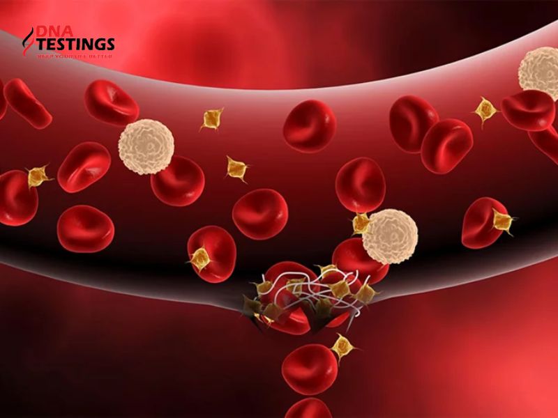 Tìm hiểu về xét nghiệm gen Hemophilia