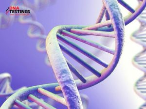 Di truyền là gì? Động lực và Sự quan trọng trong nghiên cứu là y học 8 Di truyền là gì
