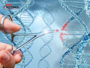 Nhiễm sắc thể là gì? Vai trò quan trọng của nhiễm sắc thể 10 Nhiễm sắc thể là gì