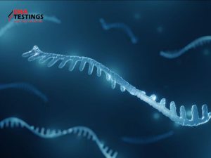 Vật chất di truyền là gì? Giải mã bí ẩn di truyền học 5 Vật chất di truyền là gì