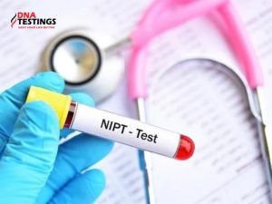 Cần bổ sung gì trước và sau khi làm xét nghiệm NIPT 2 bổ sung gì trước và sau khi làm xét nghiệm NIPT