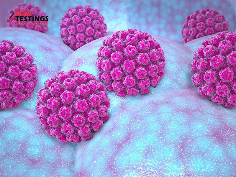 Chủng HPV 51 là gì? Có chữa được không? Phòng ngừa thế nào?1 Chủng HPV 51 là gì? Có chữa được không? Phòng ngừa thế nào?