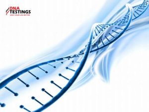 Tại sao bạn nên sở hữu thẻ ADN cá nhân? 4 thẻ ADN cá nhân