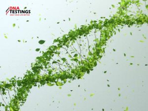 ADN hay ARN có trước? Những phát hiện mới nhất từ nghiên cứu khoa học 8 ADN hay ARN có trước