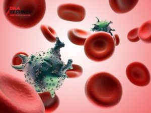 Tìm hiểu về HPV 56: Nguy cơ và phòng tránh 1 HPV 56