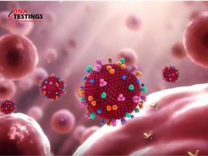 Nhiễm HPV 58 nguy hiểm không? Tác động và bệnh lý liên quan 12 Nhiễm HPV 58