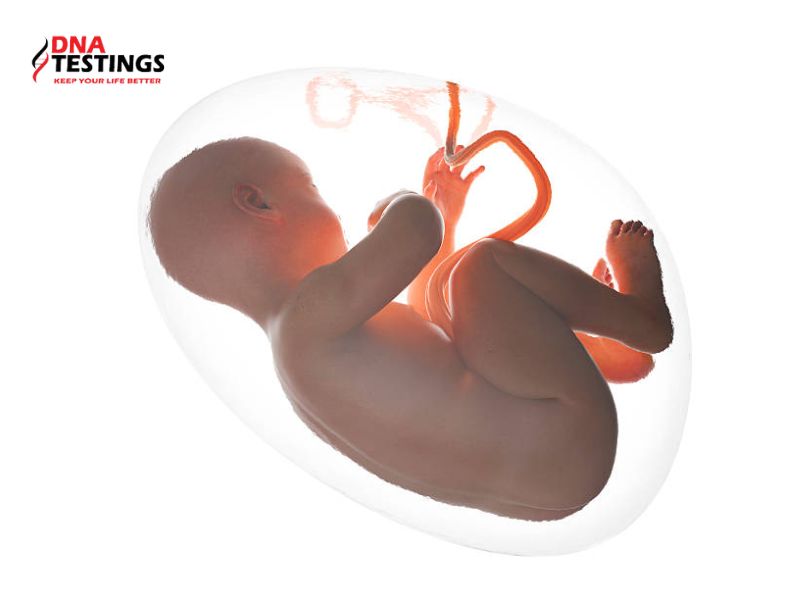 Giai đoạn nào thai nhi dễ bị mắc dị tật bẩm sinh nhất? 6 Những nguyên nhân dẫn đến thai nhi dễ bị mắc dị tật bẩm sinh