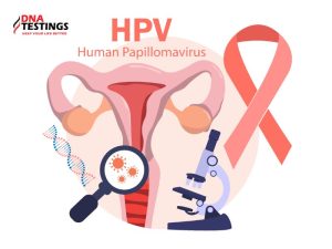 Tìm hiểu về virus HPV: Các nhóm bệnh, biện pháp phòng chống và phương pháp điều trị 11 virus HPV