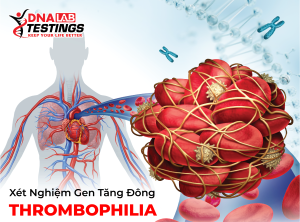 ANH DAI DIEN THROMBOPHILIA